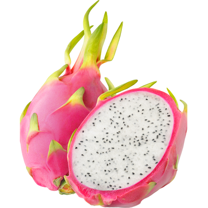 Muda de Pitaya Clone Gigante da Mondini Plantas