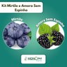 Kit Mirtilo e Amora Sem Espinho