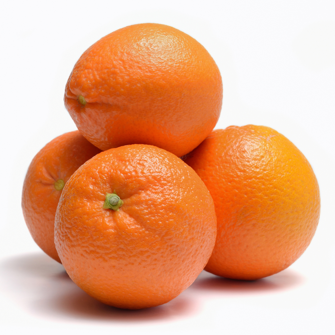 Laranja Bahia Precoce Enxertada