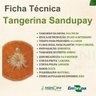 tangerina sandupay