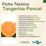 tangerina poncai