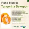 tangerina dekopon