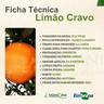 limao-cravo