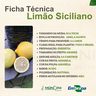 Ficha Técnica Limão Siciliano Ficha Técnica Limão Siciliano