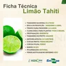 limao-tahiti
