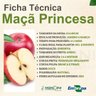 maca princesa 1