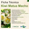 kiwi matua macho2