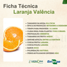 laranja valencia