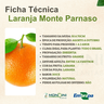laranja bahia monte parnaso 1