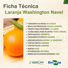 laranja washington navel