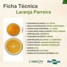 laranja parreira 1