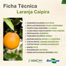 laranja caipira