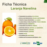 laranja navelina 1
