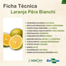 laranja pera bianchi