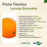 laranja sorocaba 1