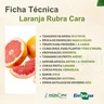 laranja rubra cara 1