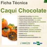 caqui chocolate