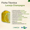 laranja champagne 1