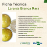 laranja branca rara