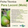 pera lecont mole 1