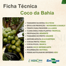 coco-da-bahia