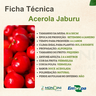 acerola-jaburu