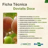 dovialis doce