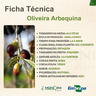 oliveiraarbequina
