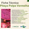 pitaya polpa vermelha 1
