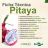 pitaya