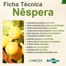nespera