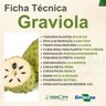 graviola