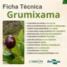 grumixama 1