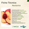 nectarina