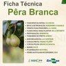 pera branca 2