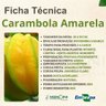 carambola amarela
