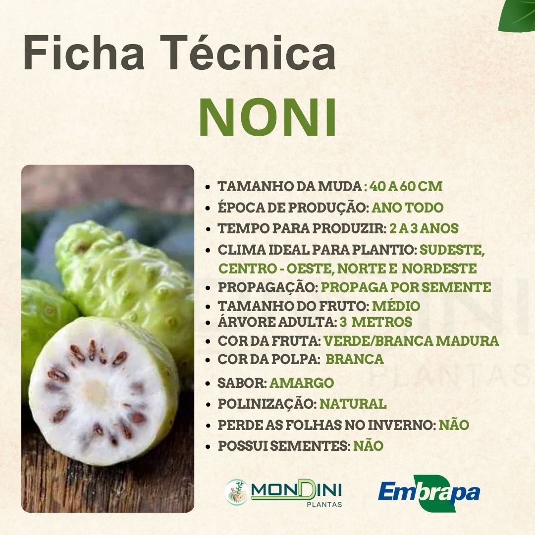 Muda de Noni