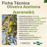 oliveira azeitona koroneiki
