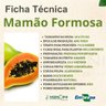 mamao formosa