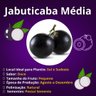 jabuticaba media