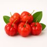 acerola jaburu acerola jaburu