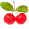 Acerola