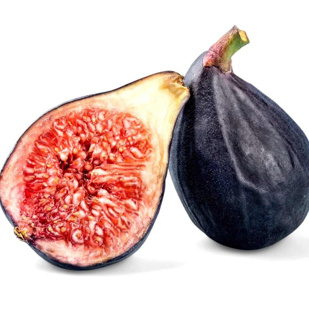 Muda de Figo Negro Raro