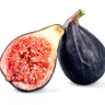 Figo Negro Raro Figo Negro Raro