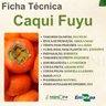 Ficha Técnica Caqui Fuyu Enxertado