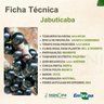 Ficha Técnica Jabuticaba Ficha Técnica Jabuticaba