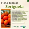 Ficha Técnica Seriguela
