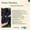 Ficha Técnica Amora Árvore Ficha Técnica Amora Árvore