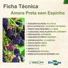 Ficha Técnica Amora sem Espinho