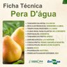 Ficha Técnica Pêra D'água